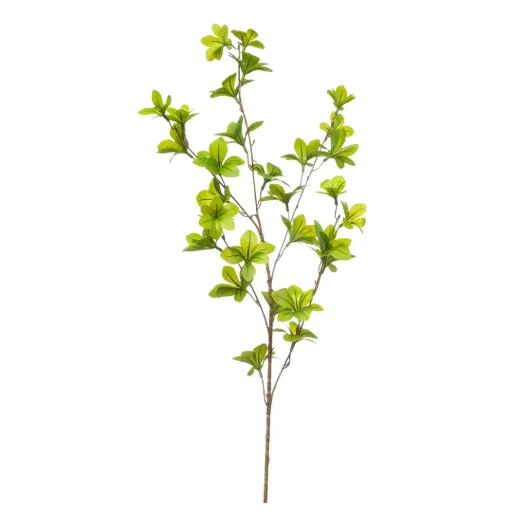 [183335-TT] Tropaeolum Spray Green 35.5in