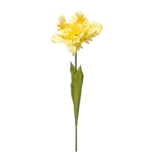 [183336-TT] Tulip Parrot Spray Yellow 27in