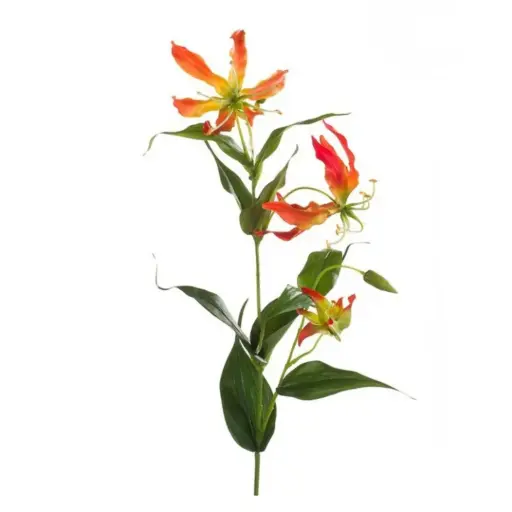 [183346-TT] Gloriosa Spray Orange 30in
