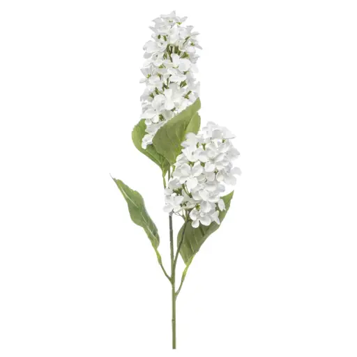[183349-TT] Hydrangea Paniculata Spray White 30in