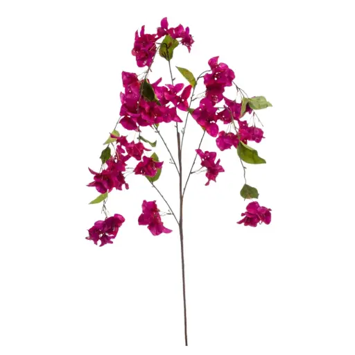 [183362-TT] Bougainvillea Hanging Spray Fuchsia 4ft