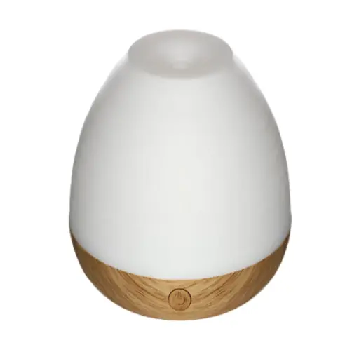 [183455-TT] Iyana USB Diffuser 70ml