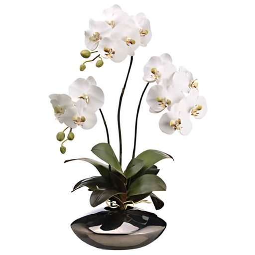 [302704-TT] Phalaenopsis Orchid Pot 31in