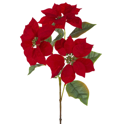 [167421-TT] Velvet Multi Poinsettia Spray 23.5in