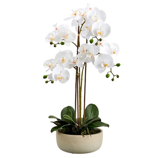 [167446-TT] White Phalaenopsis Potted Plant 25in