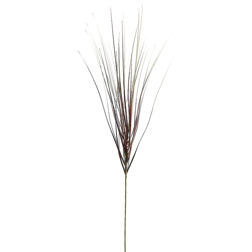 [167459-TT] Onion Grass Spray Brown 28in