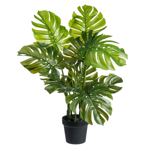 [167476-TT] Monstera Potted Plant 26in