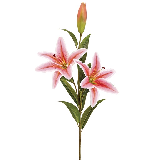 [167493-TT] Pink Lily Spray 43in