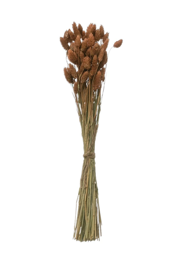 [164983-TT] Dried Canary Grass Bunch