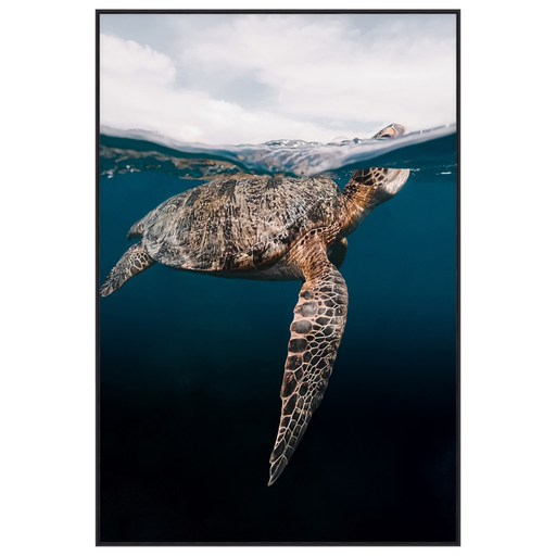 [167016-TT] Sea Turtle Print on Tempered Glass 34x50in