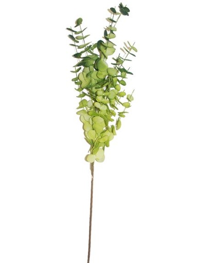 [167032-TT] Eucalyptus Green Stem 40in