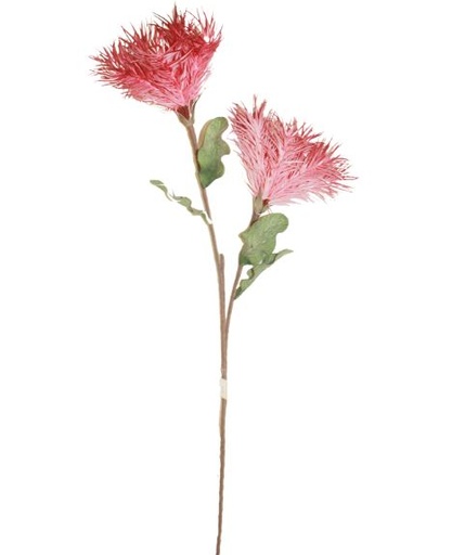 [167038-TT] Chrysanthemum Pink Stem 51in