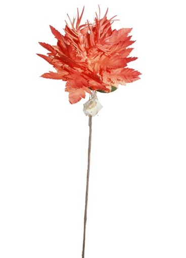[167047-TT] Bromeliad Orange Flower Stem 45in