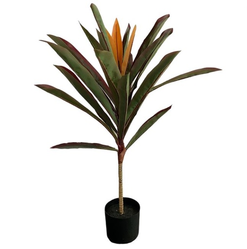 [167066-TT] Brazilian Iron Plant Red & Green 33in