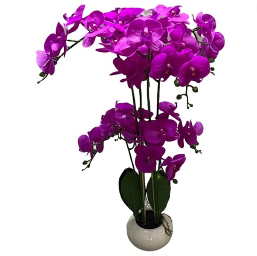 [167074-TT] Pink Phalaenopsis Orchid in Ceramic Pot

 