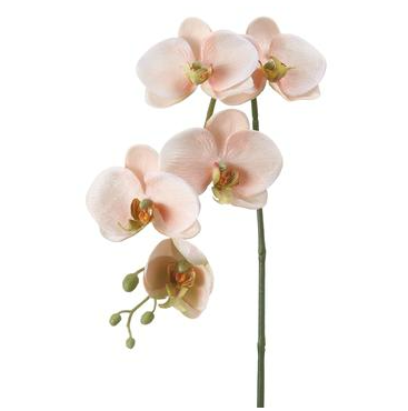 [168212-TT]  Phalaenopsis Spray Pink 26in