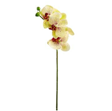 [168214-TT]  Phalaenopsis Spray Yellow 23.5in